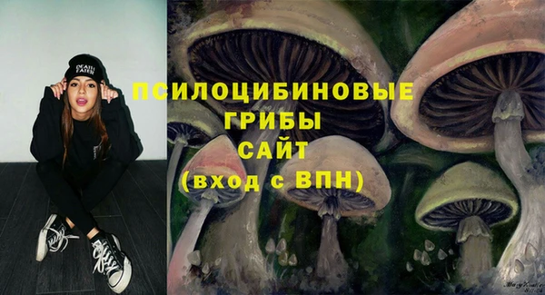 бутик Снежногорск